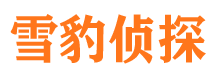 天河市私家侦探